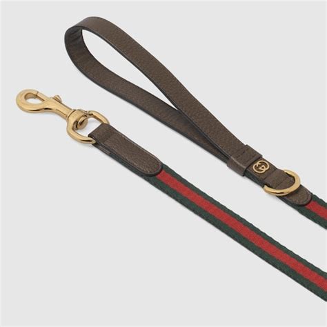 gucci guinzaglio|gucci online shopping.